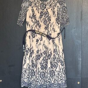 Eliza J Lace Dress